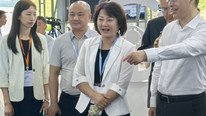 进口轴承价格为什么从几十到上万都有